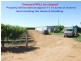 266 Old Cooltong Road, Renmark SA 5341