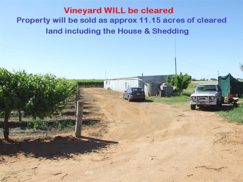 266 Old Cooltong Road, Renmark SA 5341