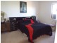 266 Old Cooltong Road, Renmark SA 5341