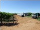 266 Old Cooltong Road, Renmark SA 5341