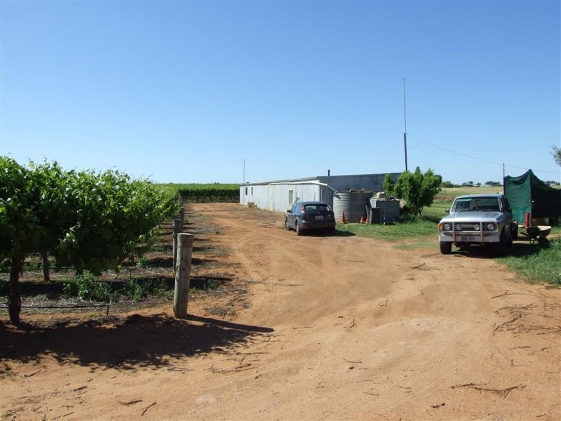 266 Old Cooltong Road, Renmark SA 5341