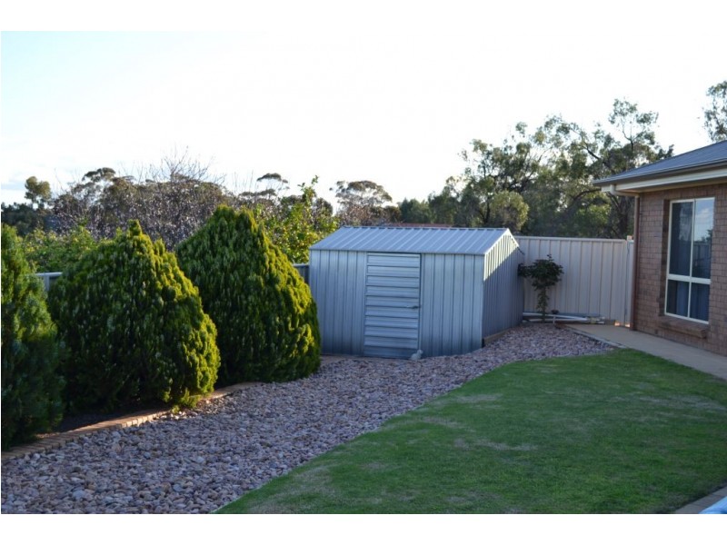 1344 Old Sturt Highway, Berri SA 5343