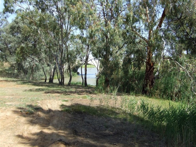 17 New Landing Way, Renmark SA 5341