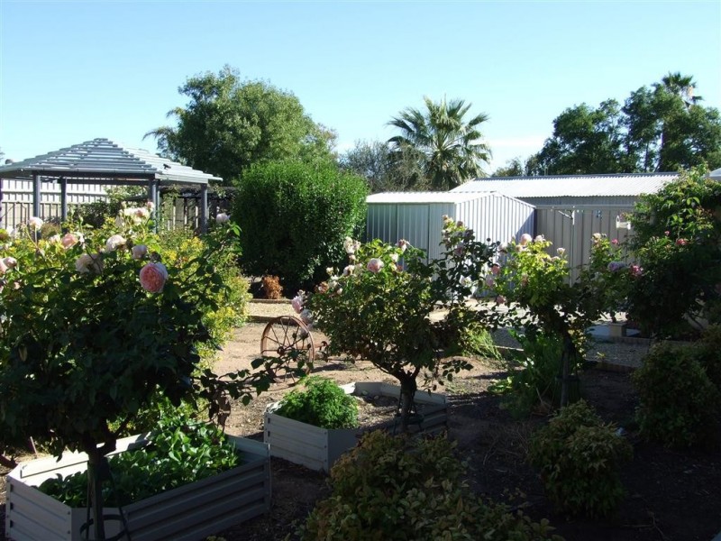 55 Pyap Street, Renmark SA 5341