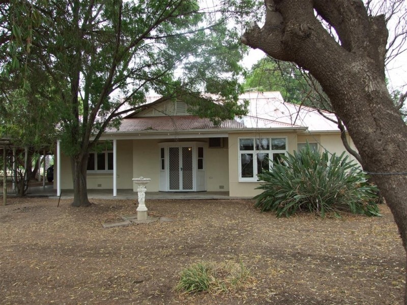 104 Paroo Street, Renmark SA 5341