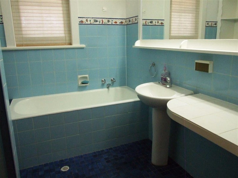 104 Paroo Street, Renmark SA 5341