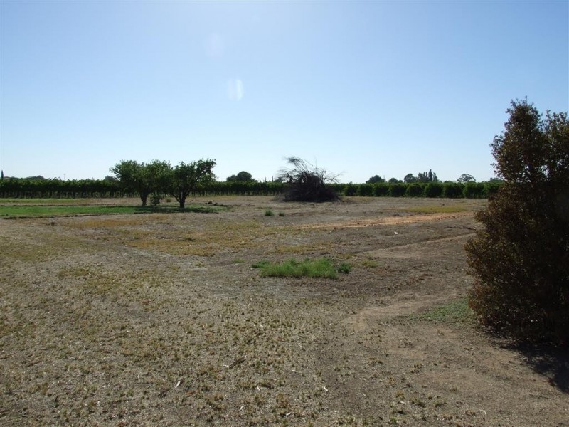 104 Paroo Street, Renmark SA 5341