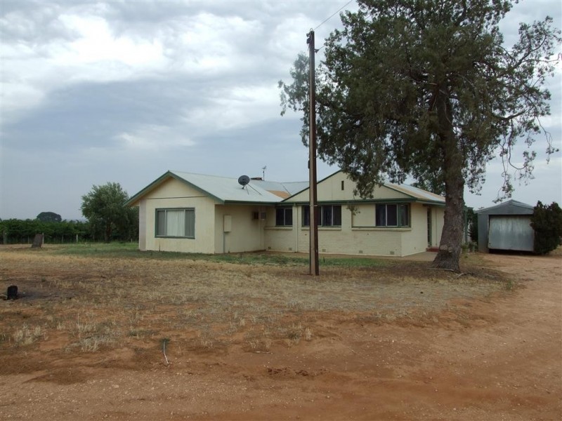 214 Cooltong Avenue, Renmark SA 5341