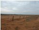 214 Cooltong Avenue, Renmark SA 5341