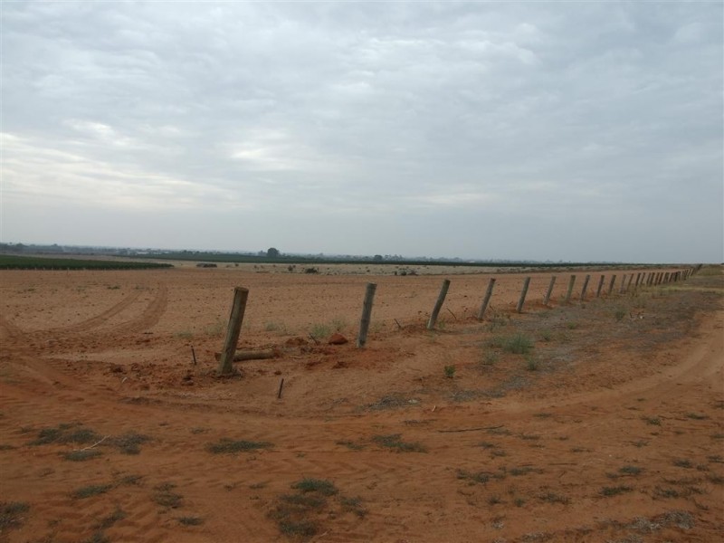 214 Cooltong Avenue, Renmark SA 5341