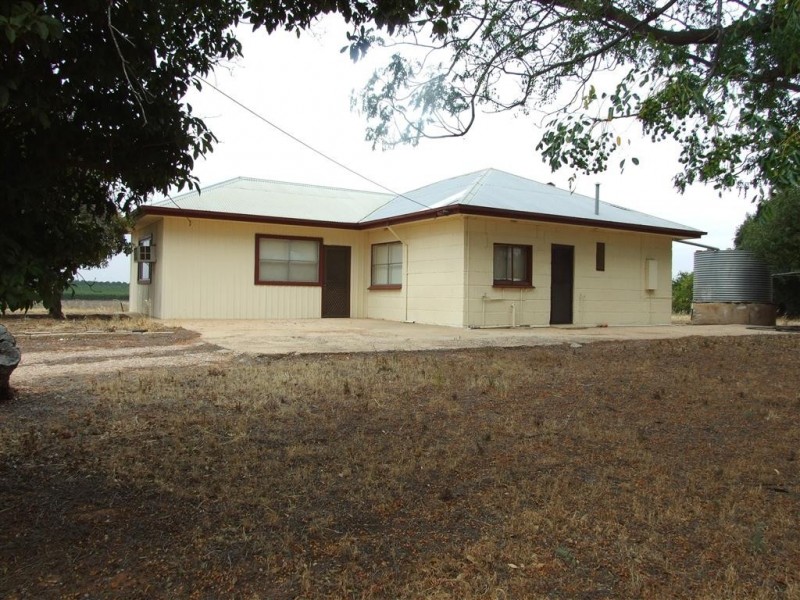 291 Wentworth Road, Renmark SA 5341