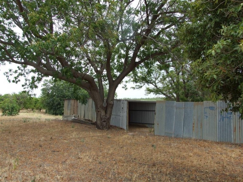 291 Wentworth Road, Renmark SA 5341