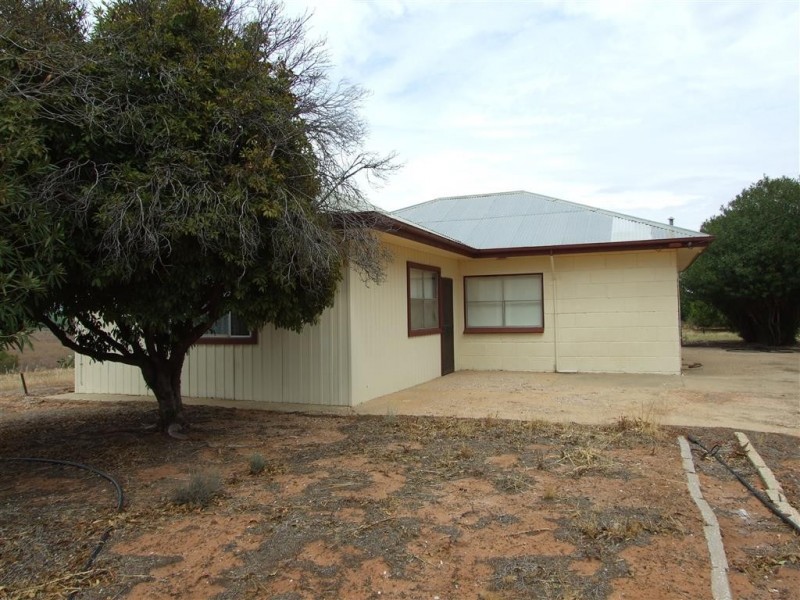 291 Wentworth Road, Renmark SA 5341