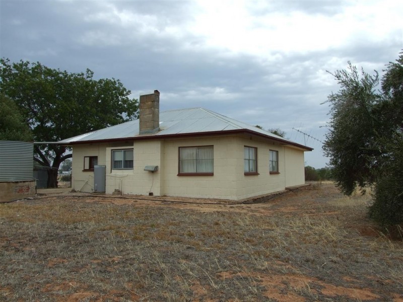 291 Wentworth Road, Renmark SA 5341