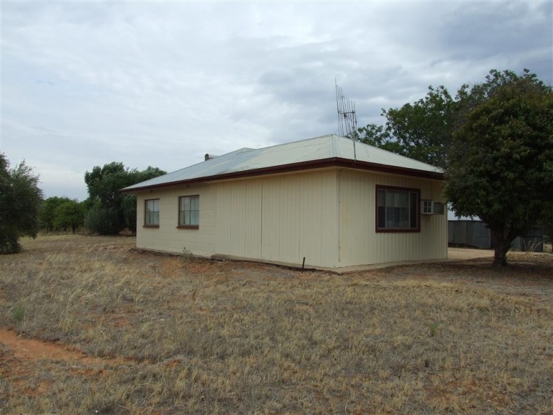 291 Wentworth Road, Renmark SA 5341