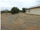 291 Wentworth Road, Renmark SA 5341