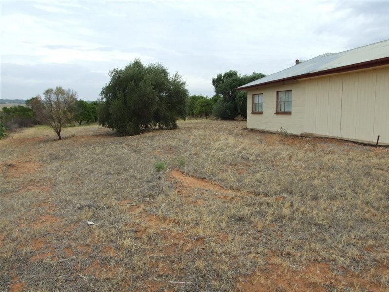 291 Wentworth Road, Renmark SA 5341