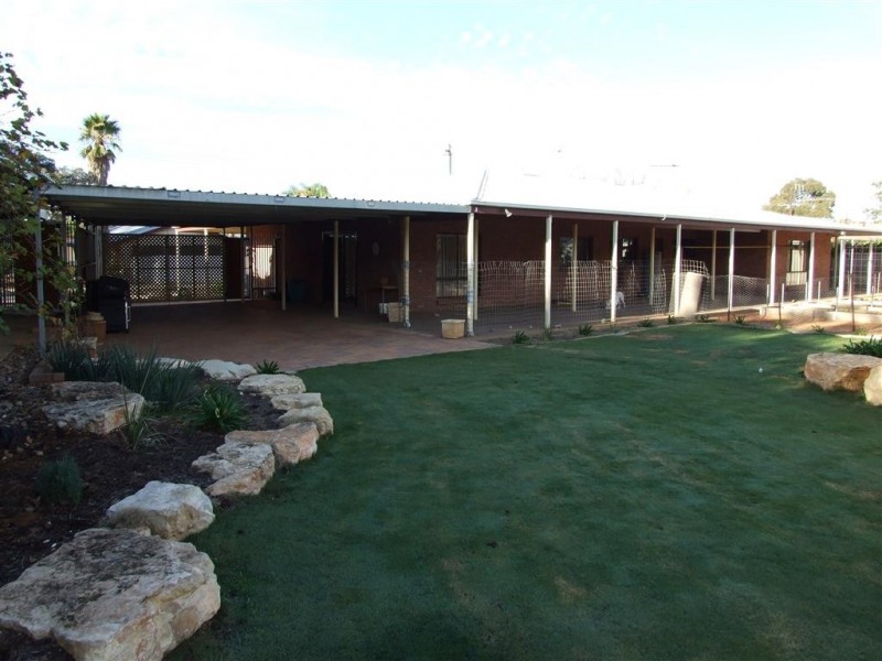 1 Petch Street, Loxton SA 5333