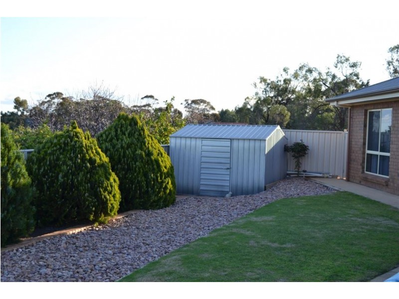 1344 Old Sturt Highway, Berri SA 5343