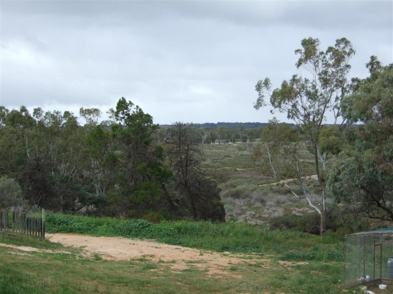 31 Foreman Road, Berri SA 5343