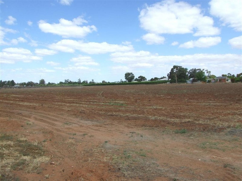 Lot 25 Kulkyne Street, Renmark SA 5341