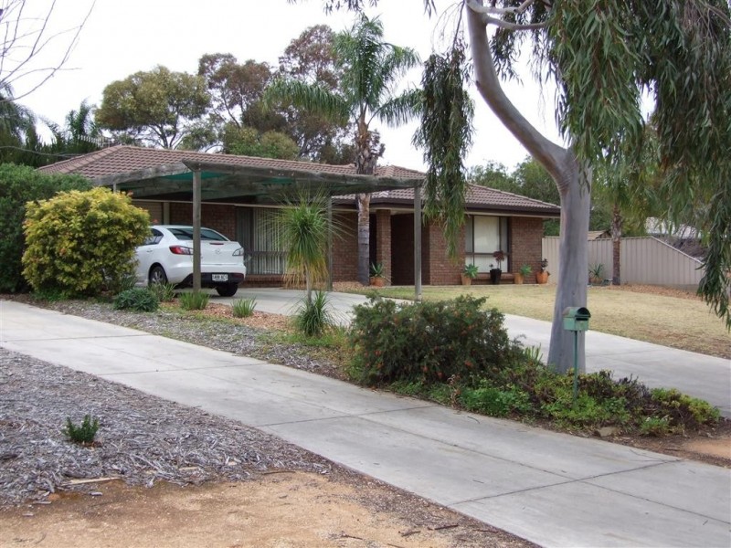 4 Najar Crescent, Berri SA 5343
