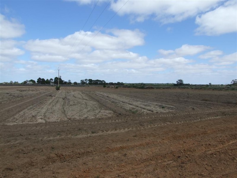 Sec 90 and 186 Sanctuary Road Chaffey via, Renmark SA 5341