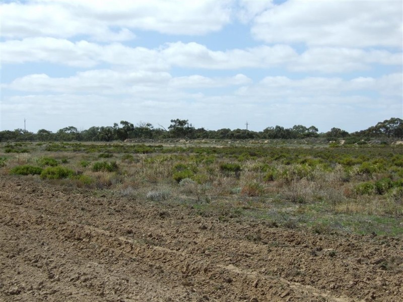 Sec 90 and 186 Sanctuary Road Chaffey via, Renmark SA 5341