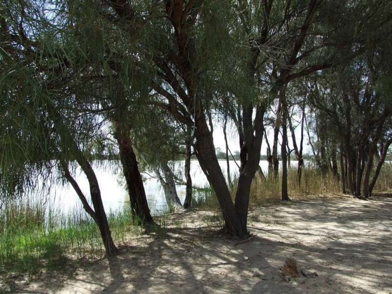 Sec 90 and 186 Sanctuary Road Chaffey via, Renmark SA 5341