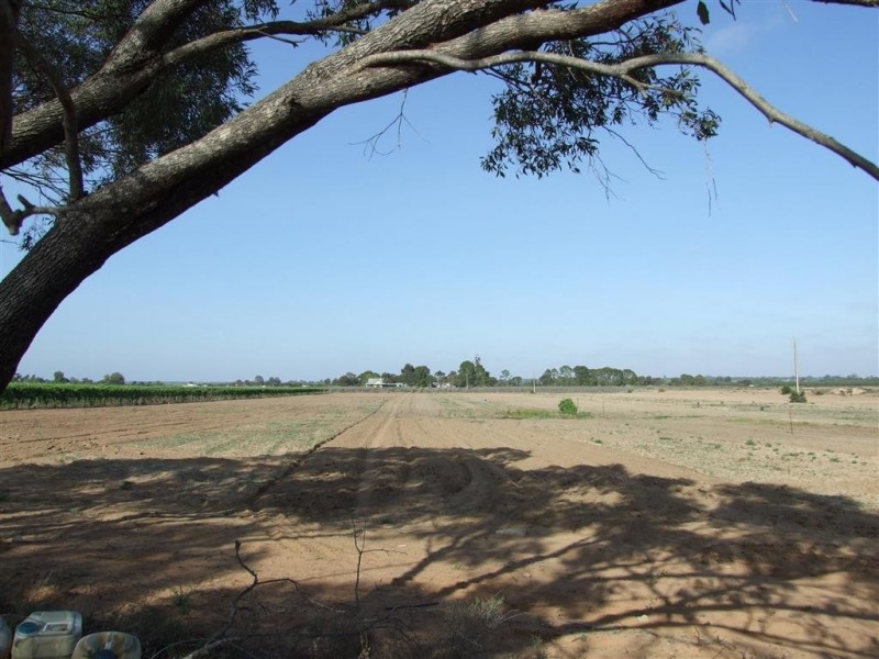 Sec 90 and 186 Sanctuary Road Chaffey via, Renmark SA 5341