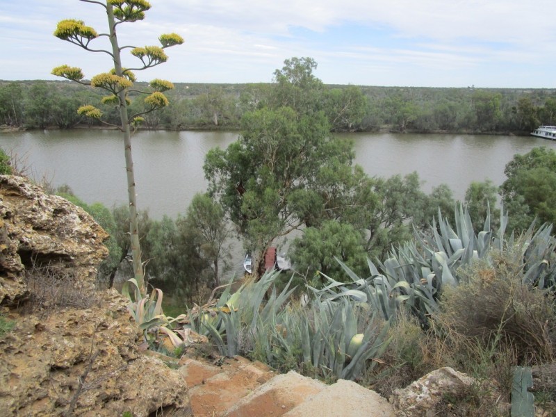 16 Idyll Avenue Murbko Via, Morgan SA 5320