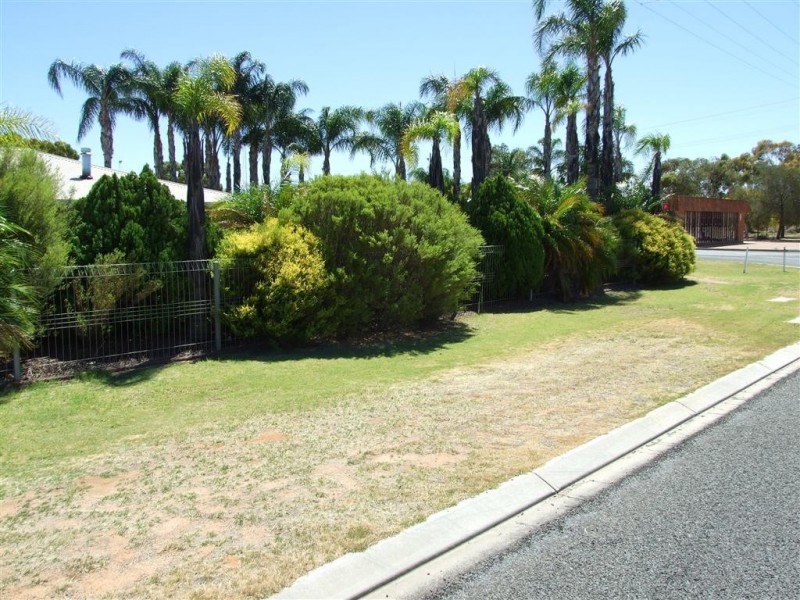 23 Downer Ave, Lyrup SA 5343