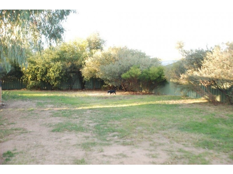 99 Twenty Third Street, Renmark SA 5341