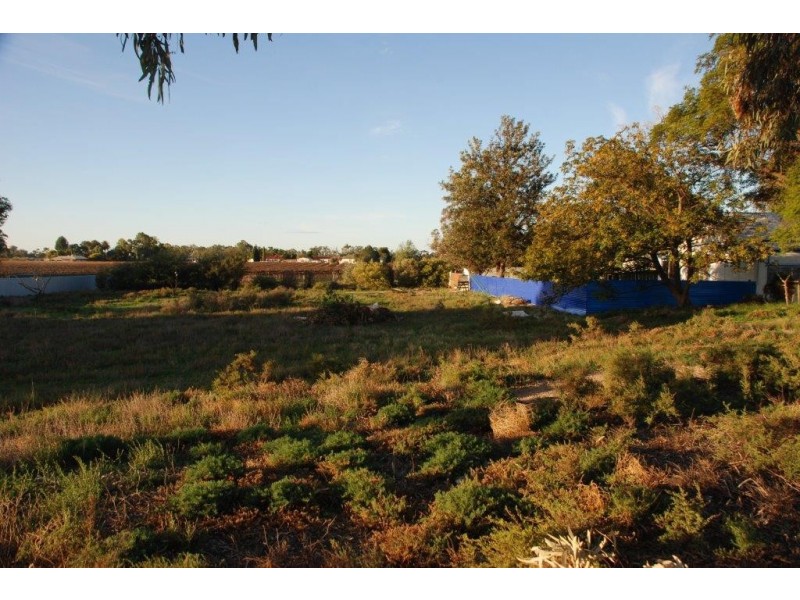 99 Twenty Third Street, Renmark SA 5341