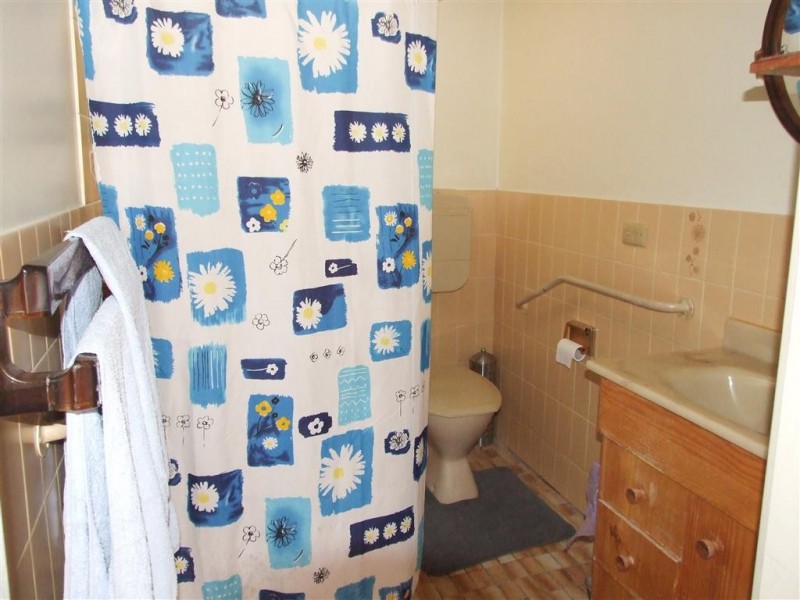 20 Twelfth St, Renmark SA 5341