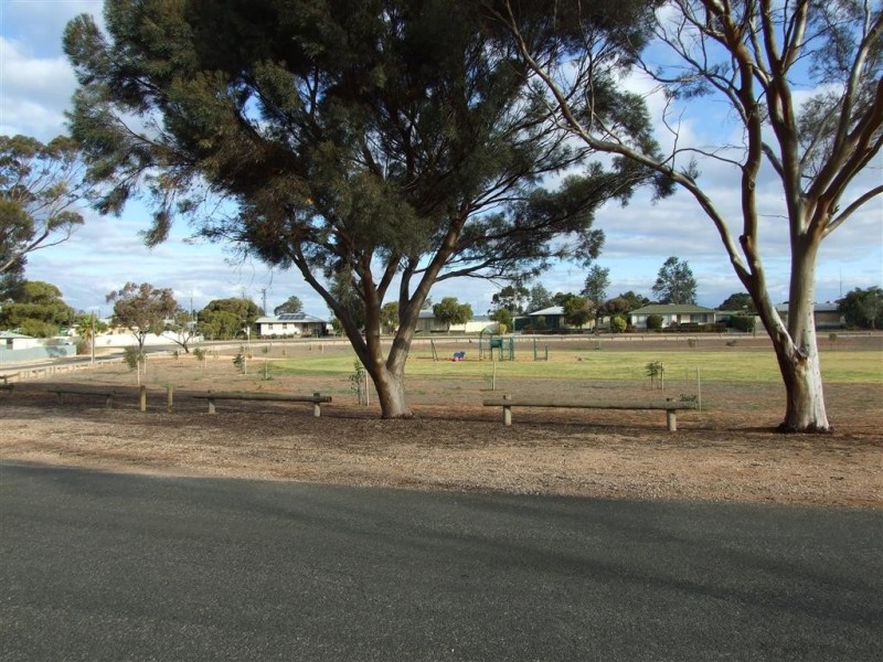 8 Paddick St, Berri SA 5343