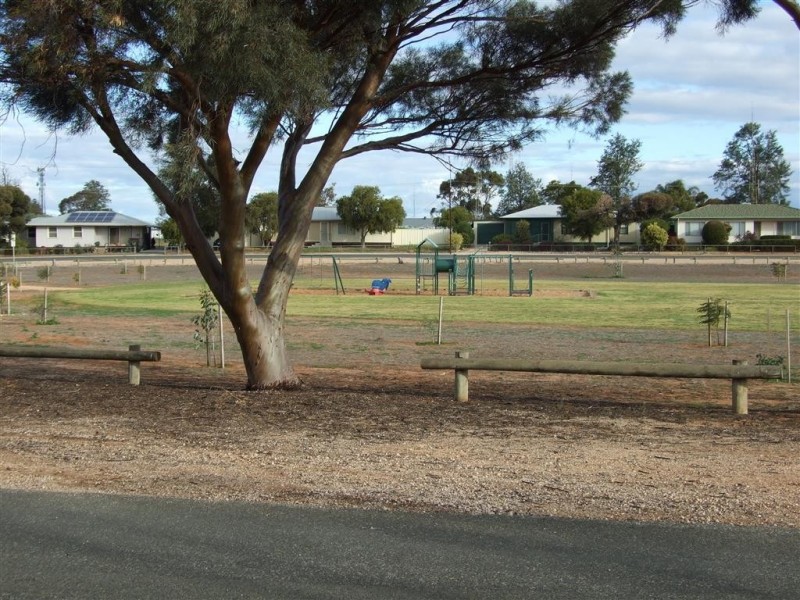 8 Paddick St, Berri SA 5343