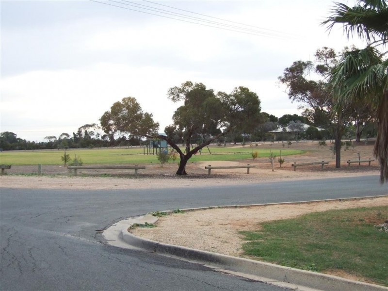 8 Paddick St, Berri SA 5343