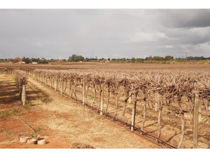 28 Rebbeck Rd Monash via, Berri SA 5343