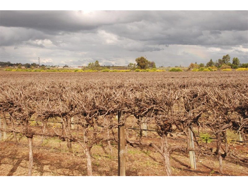 28 Rebbeck Rd Monash via, Berri SA 5343