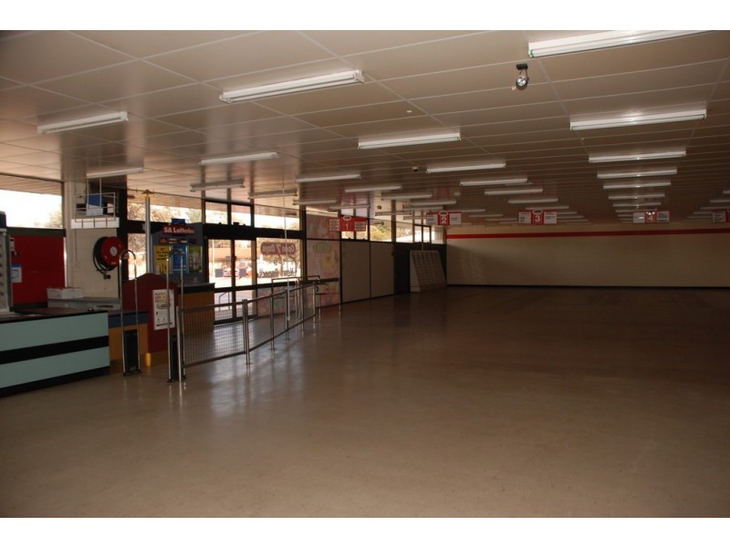 11 Mortimer Street, Berri SA 5343