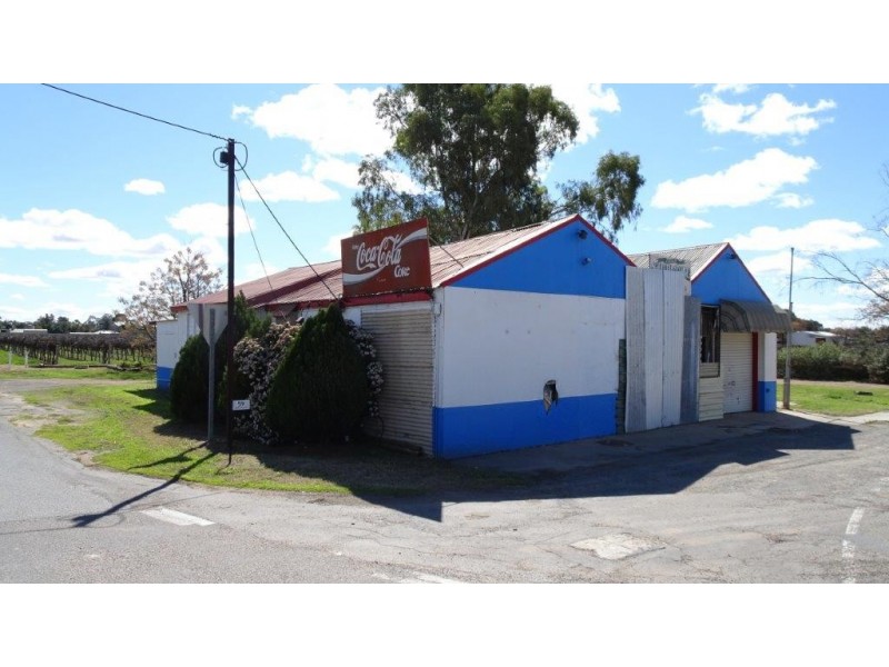 101 Renmark Ave, Renmark SA 5341