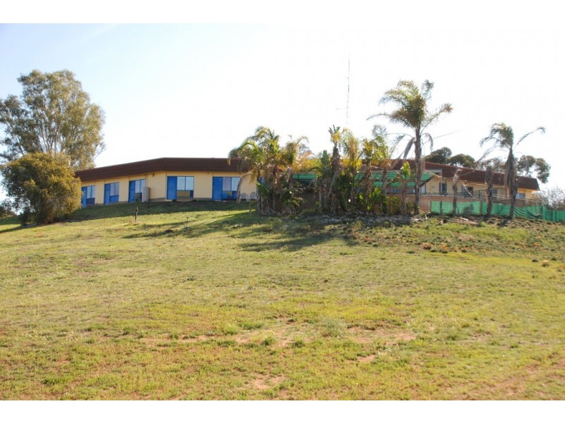 14 Albrecht Road, Kingston On Murray SA 5331