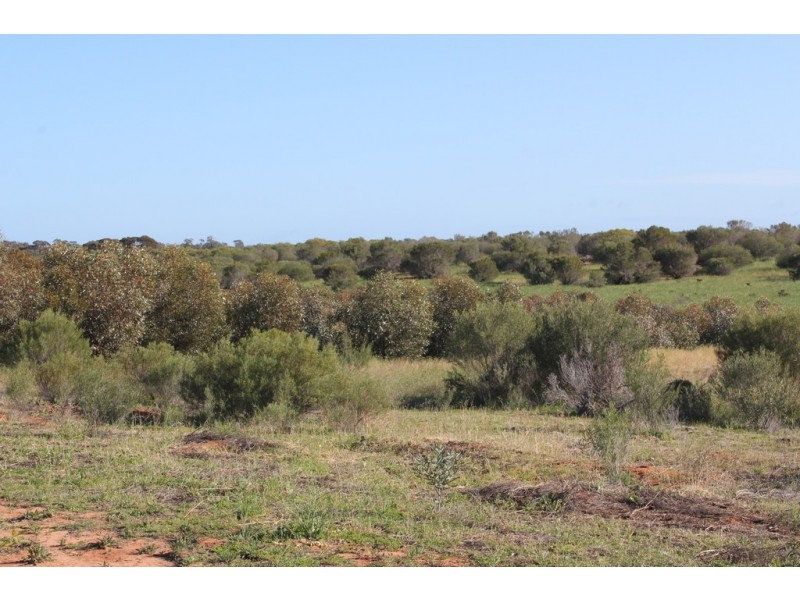 76 Cuttle Street, Renmark SA 5341