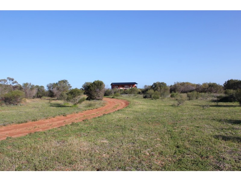 76 Cuttle Street, Renmark SA 5341