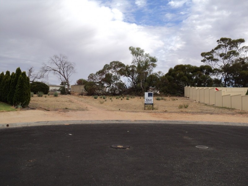 51 Mclean, Berri SA 5343