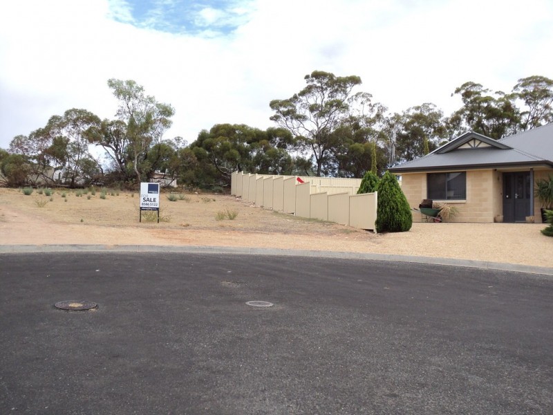 51 Mclean, Berri SA 5343