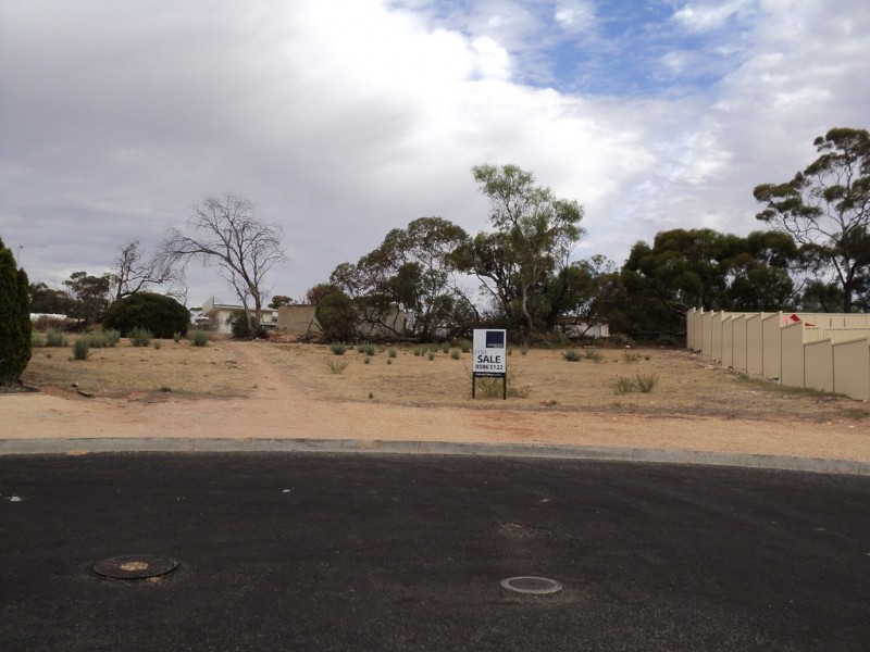 51 Mclean, Berri SA 5343