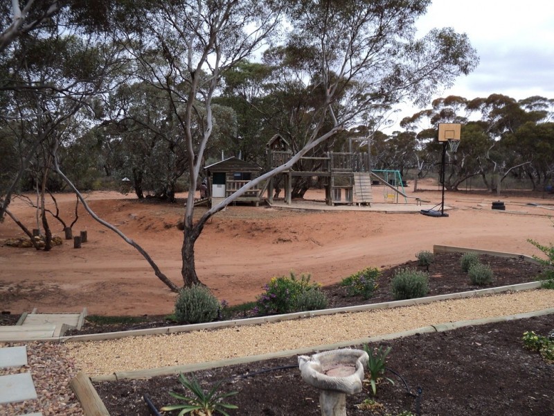 56 Slaughter rd, Barmera SA 5345