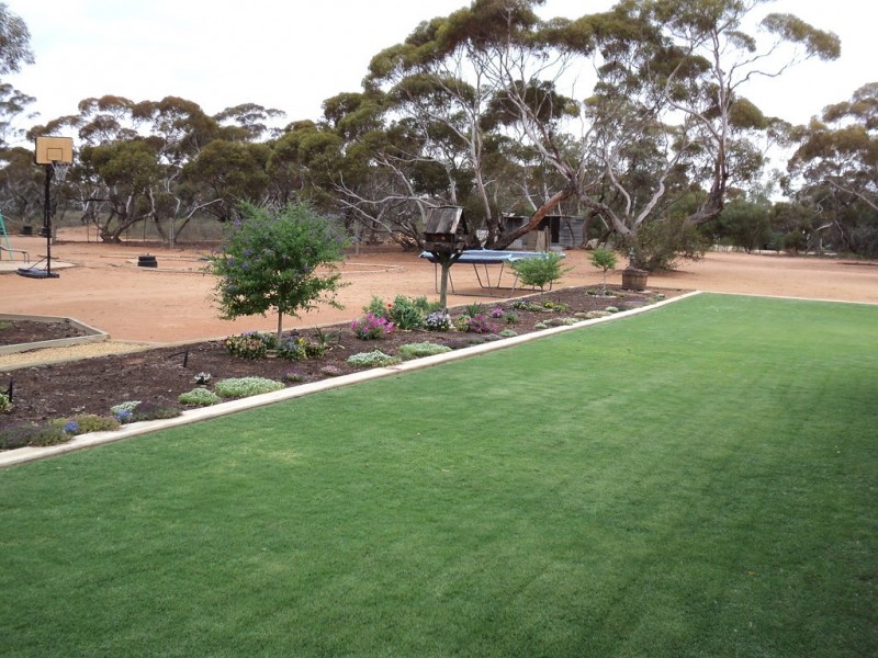 56 Slaughter rd, Barmera SA 5345